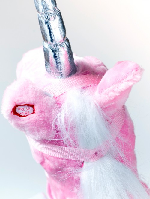 Unicorn — foto 2